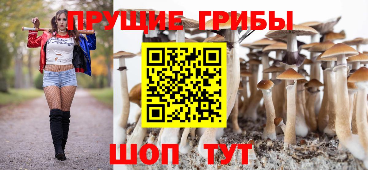 Галлюциногенные грибы Magic Shrooms  Вход с VPN  Псилоцибиновые грибы Cubensis  Нефтекамск 